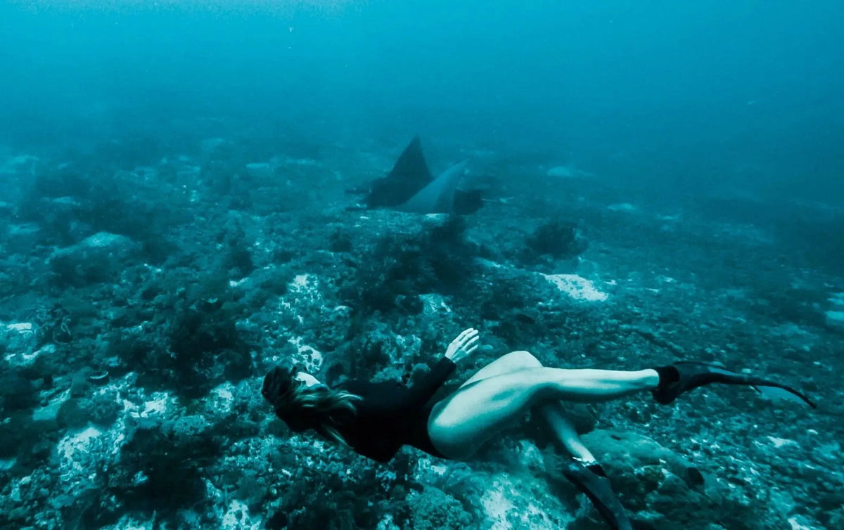 The Ultimate Guide to Reef-Safe Sunscreen and Zinc Sunsceen - Ocean Soul Bali