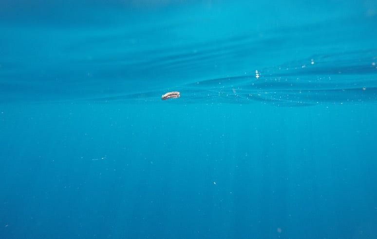 blue ocean sustainable swimwear ocean soul swimswear