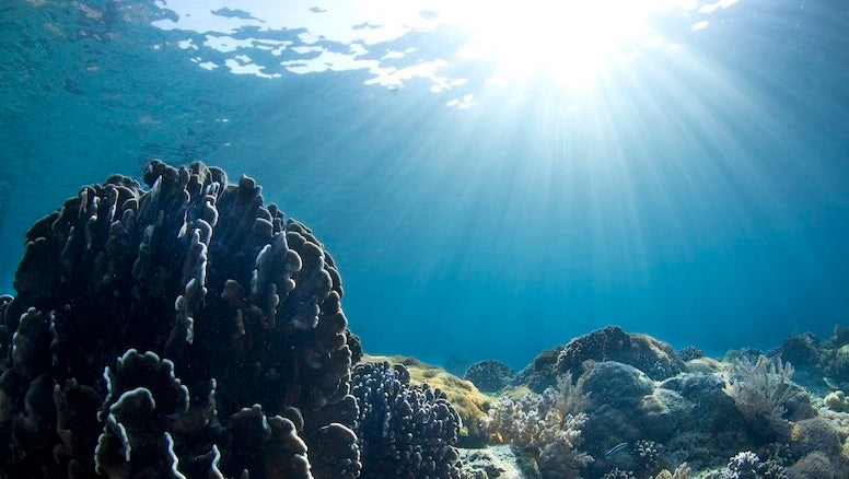 sun shinning through ocean