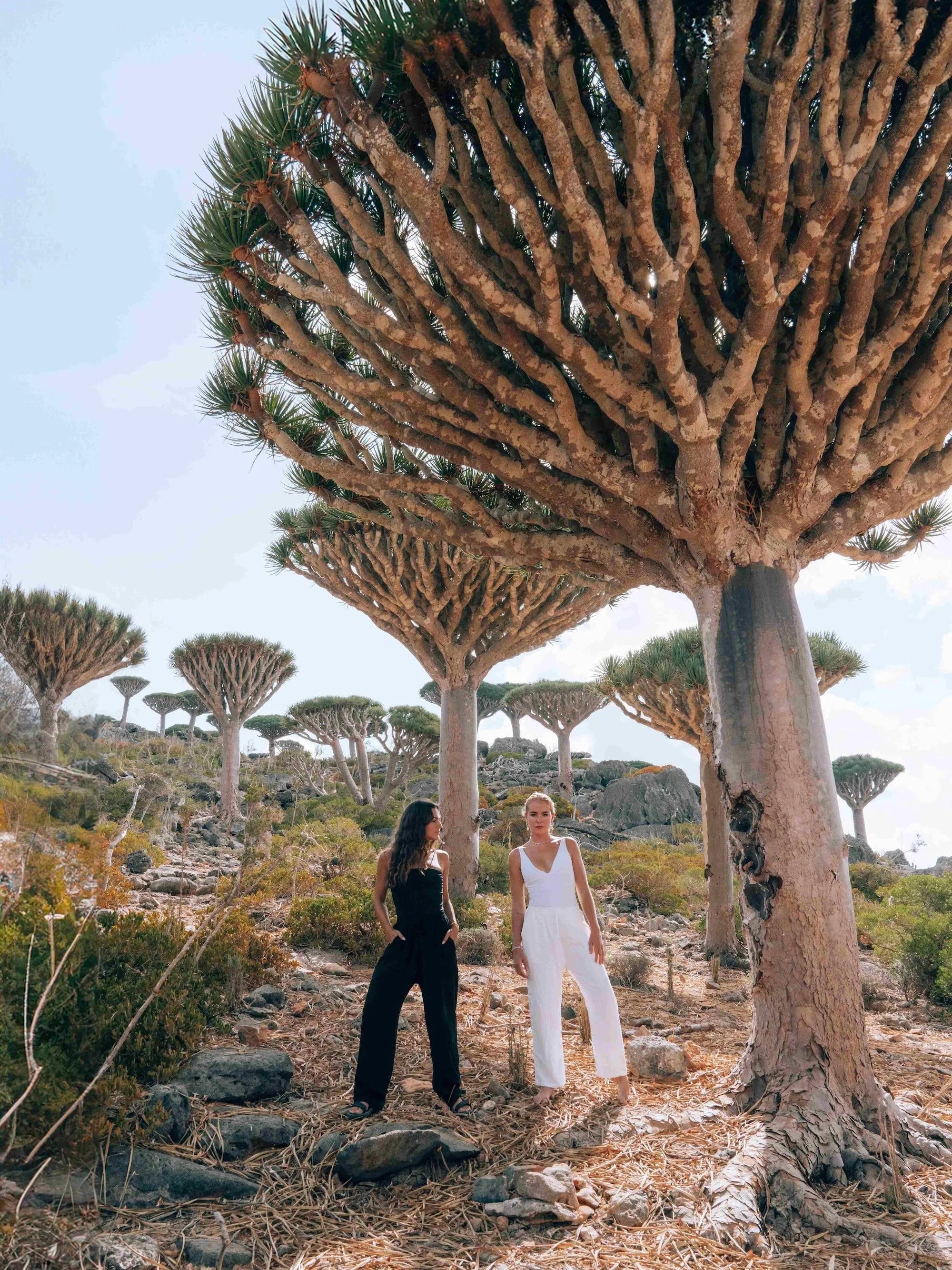 Wide legged lounge pants | The Sunday-Wide legged lounge pants-Ocean Soul Swimwear